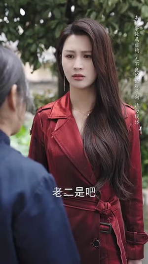 养母的秘密(34集) 养母的秘密(34集)短剧热播全集免费追