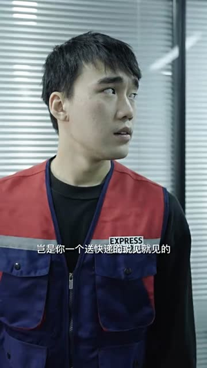 新:最强快递员(71集) 新:最强快递员(71集)短剧完结篇全集连播