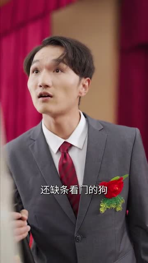 功成名就时,衣锦还乡日(60集) 功成名就时,衣锦还乡日(60集)短剧超清全集在线看