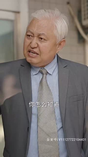 遥遥领先(89集) 遥遥领先(89集)短剧合集4K修复版