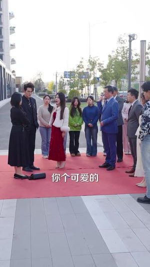 拒谣风暴我的邻里反击战(55集) 拒谣风暴我的邻里反击战(55集)短剧全剧终高清放送