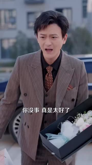 你好,机长先生(101集) 你好,机长先生(101集)短剧宝藏全集限免看