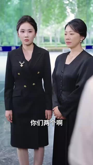 半生风雨半生寒(49集) 半生风雨半生寒(49集)短剧全集投屏大屏看