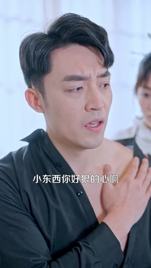 昨日雪与今日花(81集) 昨日雪与今日花(81集)短剧全集投屏大屏看