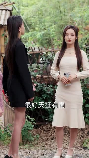 女婿回乡全村风光(69集) 女婿回乡全村风光(69集)短剧完整版全集放送