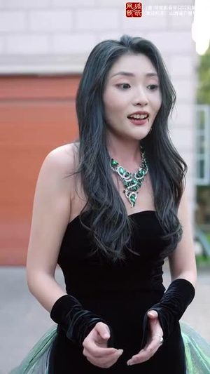 隐藏的面孔(50集) 隐藏的面孔(50集)短剧最终章免费合集