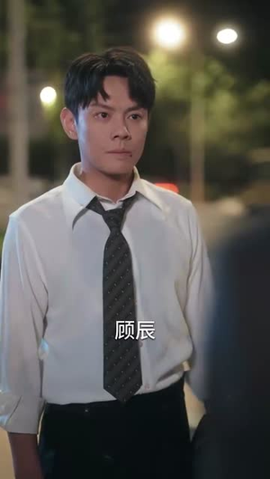 情深难渡忘归人(61集) 情深难渡忘归人(61集)短剧全集高清无码版